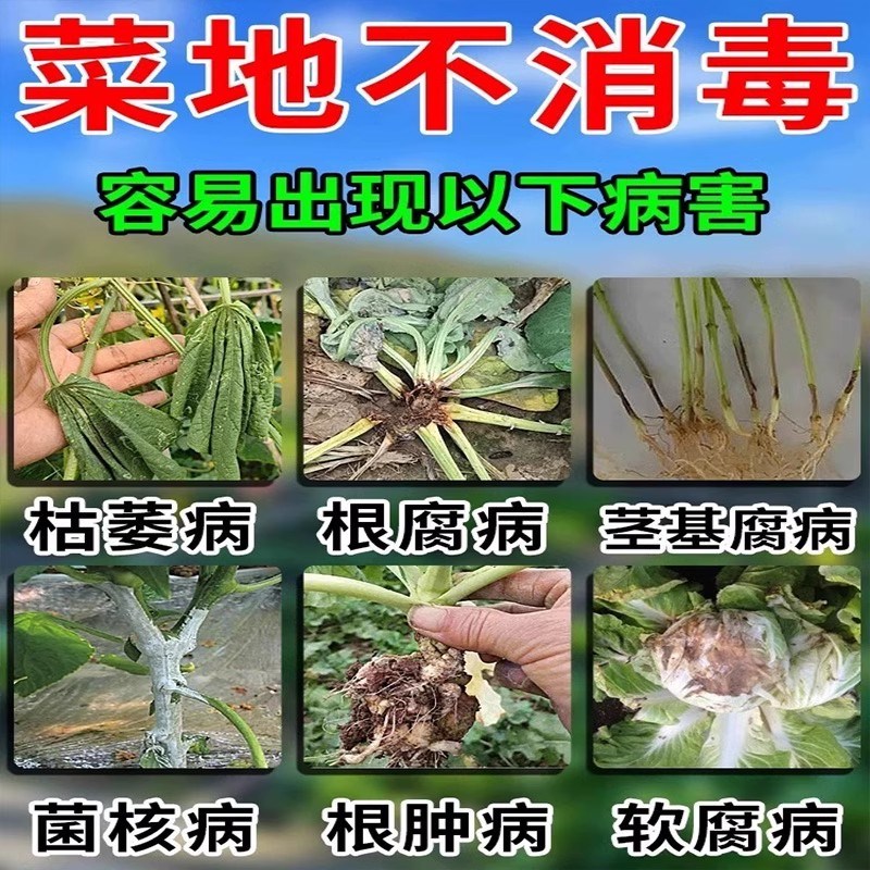 土壤专用消毒杀菌剂防根腐病毒病抗重茬调理肥料炭疽灰霉疫病清药