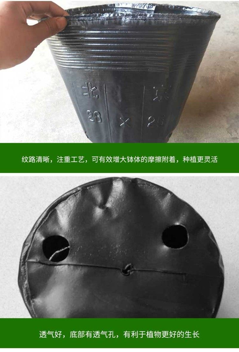 营养钵异型加高加厚圆口方口柑橘杯黑色塑料育苗杯树苗杯细高型