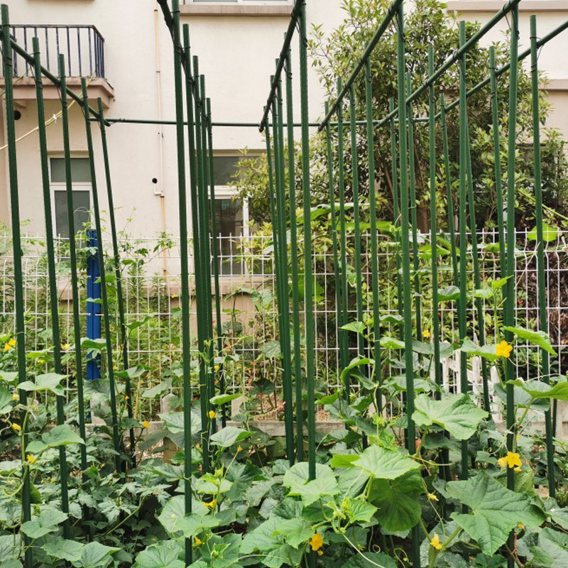园艺包塑钢管支柱种植架绿植花卉黄瓜蔬菜葡萄种菜花架爬藤支撑杆