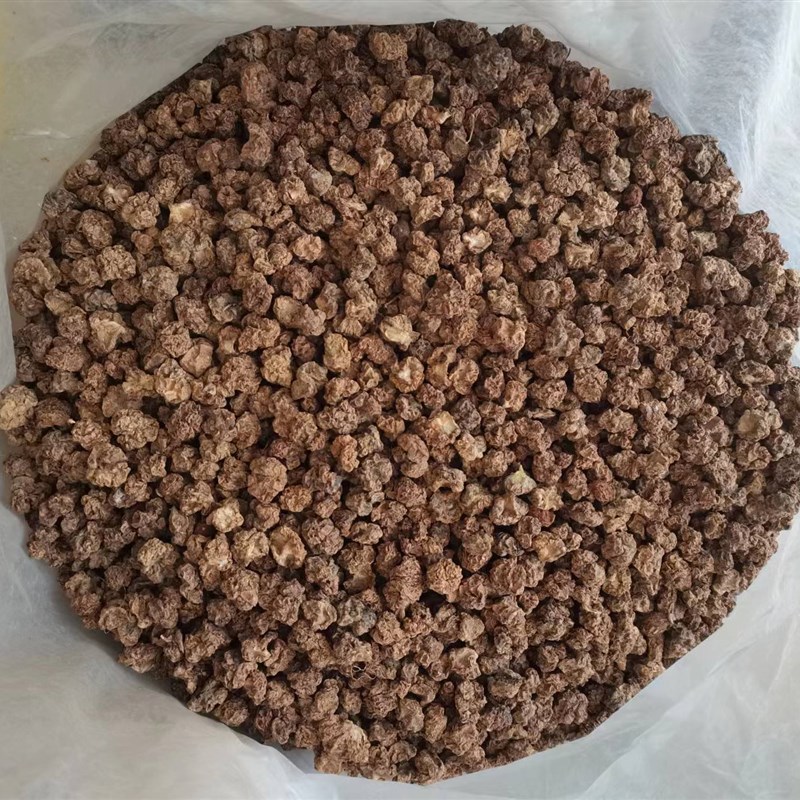 虫瘿果木天蓼果子水杨桃果实宠物猫咪磨牙果猫咪水果零食成猫洁齿