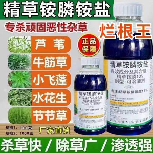 10%精草铵膦铵盐果园烂根除草剂
