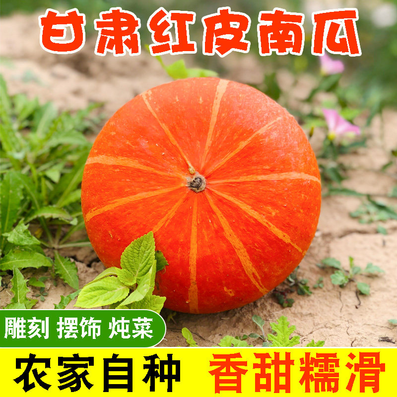甘肃板栗红南瓜雕刻软糯香甜