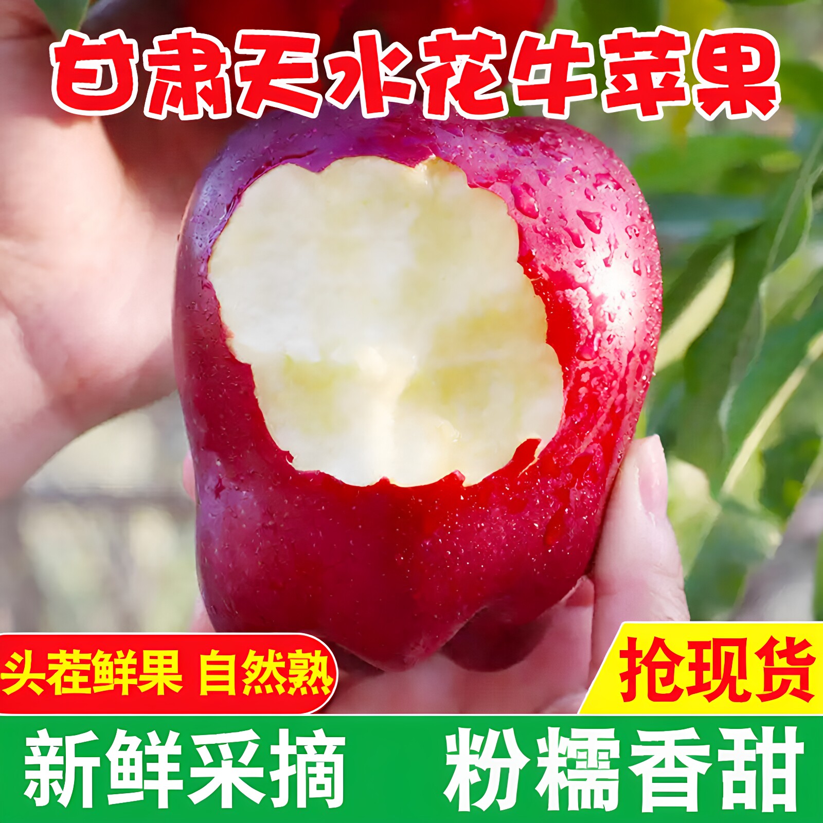 甘肃天水花牛苹果正宗粉面可刮泥