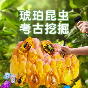 琥珀昆虫考古挖掘玩具儿童手工diy化石寻宝探索科学教育益智玩具