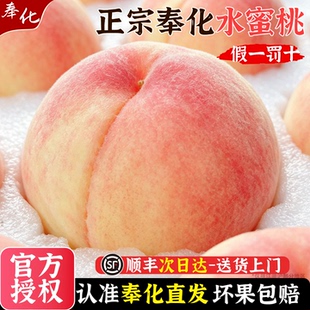 顺丰空运【官方授权】奉化水蜜桃白凤湖景玉露浙江宁波新鲜孕妇可