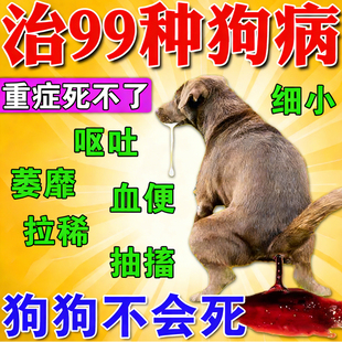 狗狗细小病毒特效药犬瘟治疗药套餐呕吐肠胃炎拉稀便血抽搐专用药