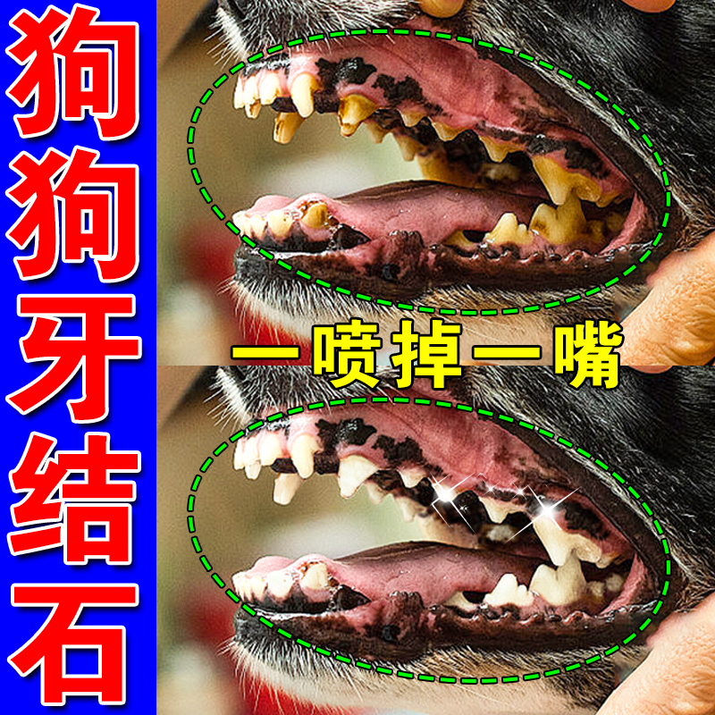 狗狗牙结石去除器溶解牙石喷剂