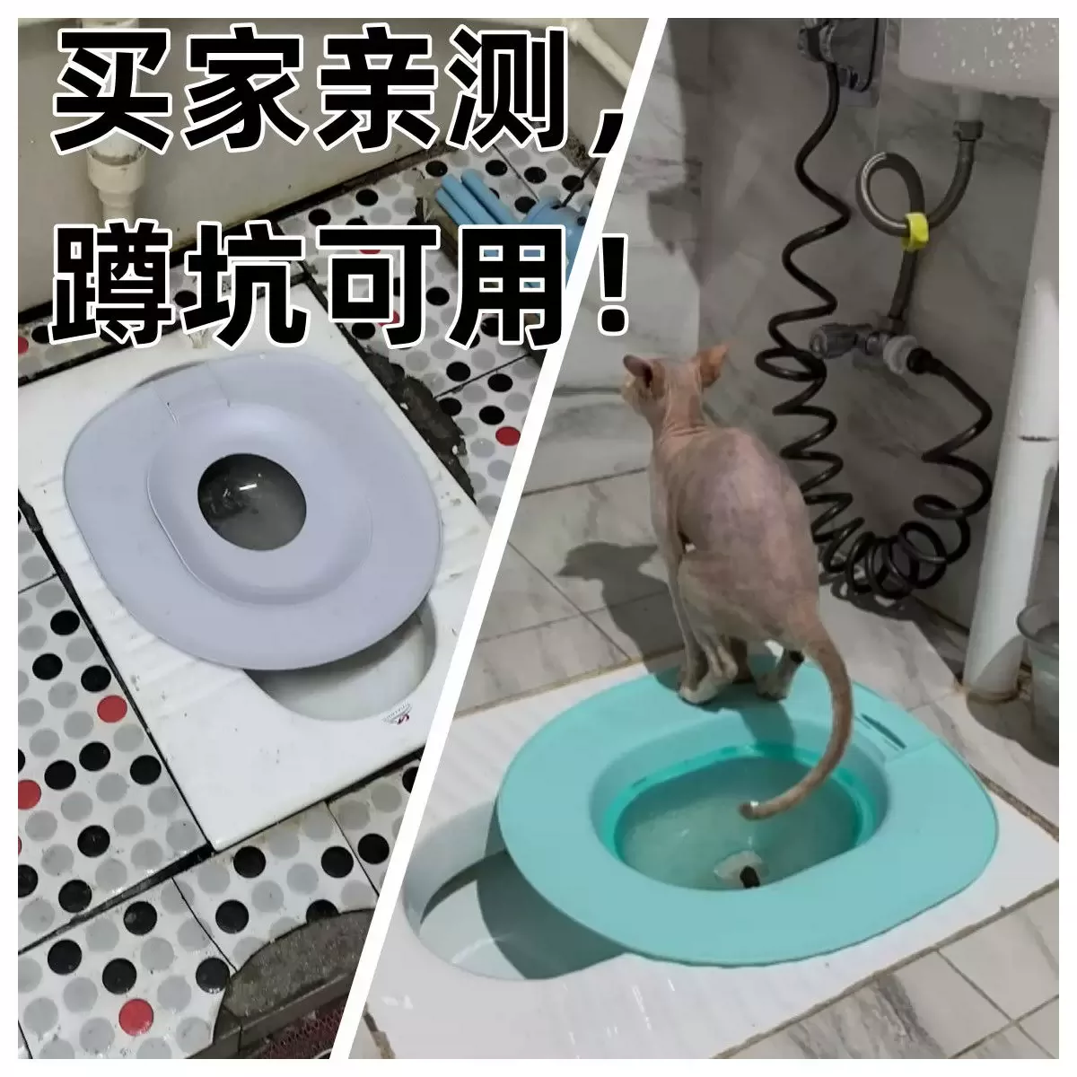 猫上厕所训练器猫咪马桶特大号