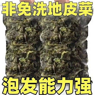 甘肃野菜干货地软地达菜地衣雷公菌地耳新货非免洗地皮菜野生农家