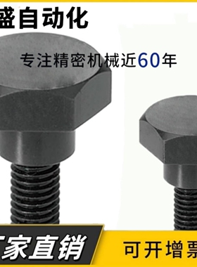 45钢CBDBL8/CBDBL10/CBDBL12-5 6 7 8 9 10 12 20外六角支点螺丝