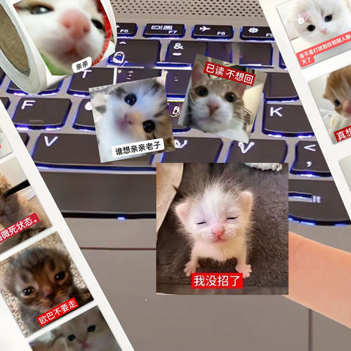 1500贴爆款猫咪表情卷卷贴卡通抽象趣味猫meme梗图周边封口手账贴