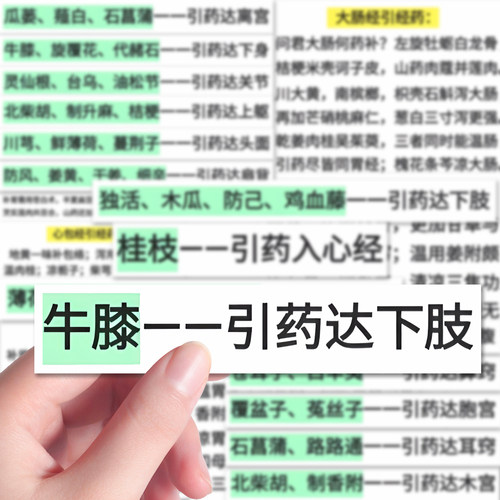 106张药引子贴纸中医药材治疗调理学习装饰笔记本iPad贴画防水