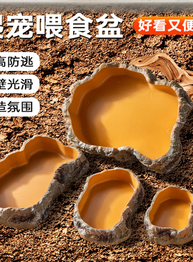 爬宠食盆蜥蜴水盆寄居蟹角蛙泡澡盆姥爷树蛙饲养箱造景饮水盆装饰