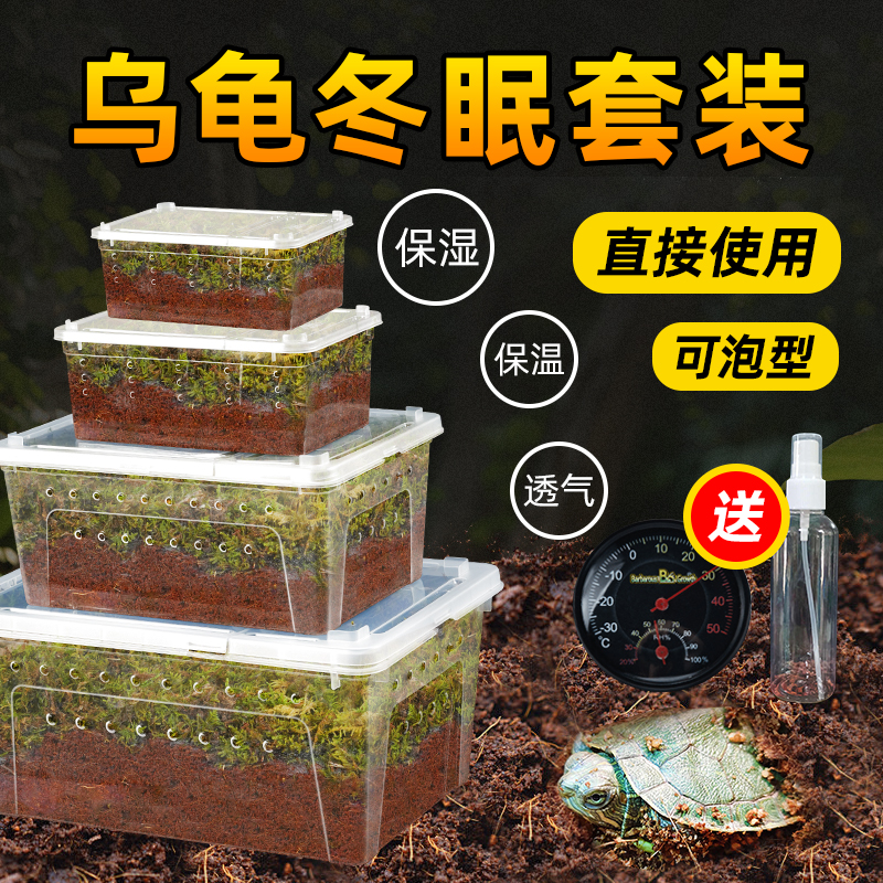 乌龟冬眠土草龟冬眠套装