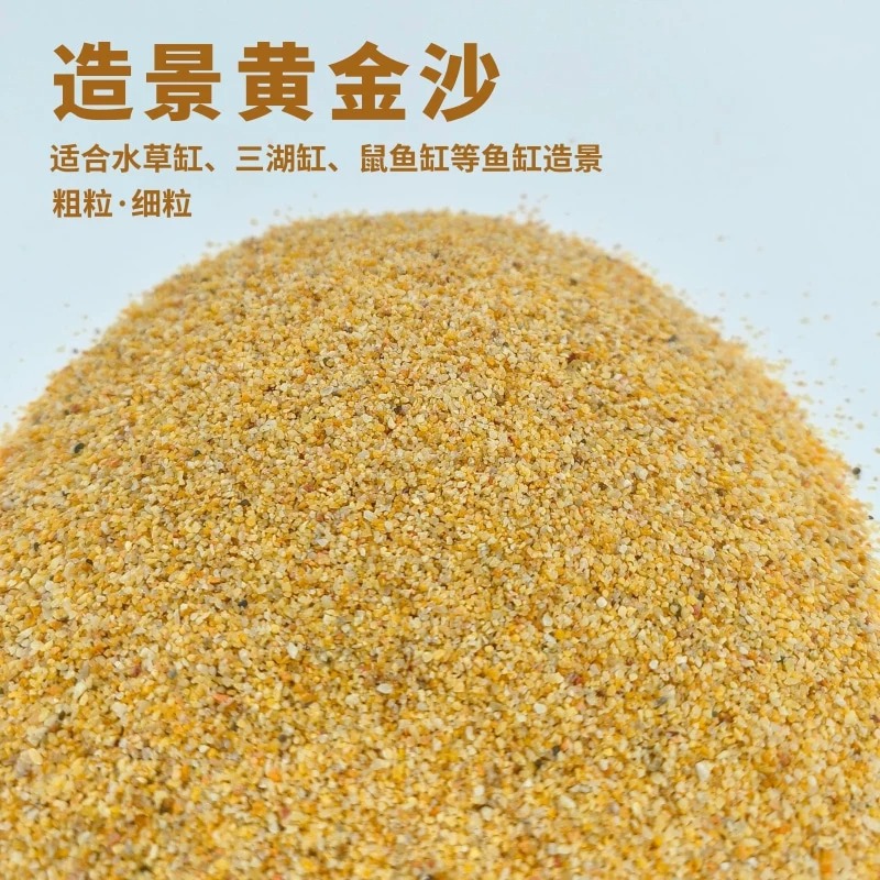 黄金沙南美鼠鱼缸装饰底砂天然溪流石沙草缸水陆造景细河沙水草砂