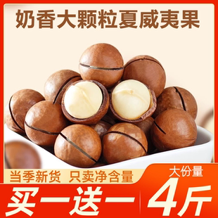 夏威夷果坚果奶油味孕妇休闲零食炒货夏果干果仁批袋发整箱旗舰店