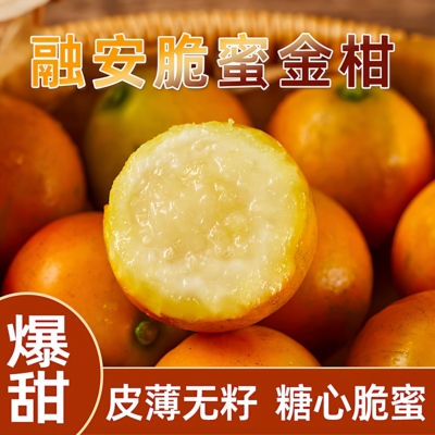 融安第三代脆蜜金柑现摘纯甜