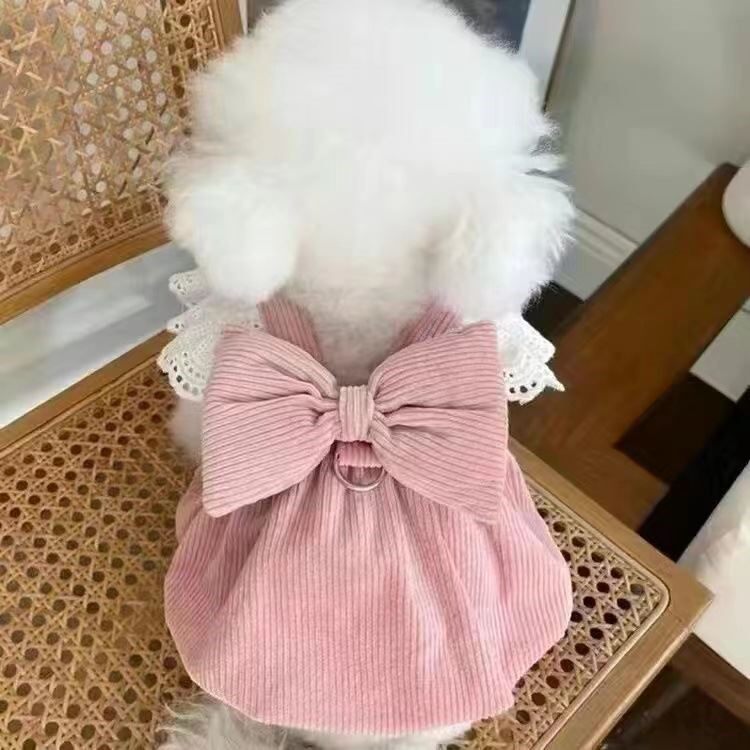 狗狗衣服秋装新品宠物猫咪可爱公主牵引泰迪博美比熊小狗礼服裙子