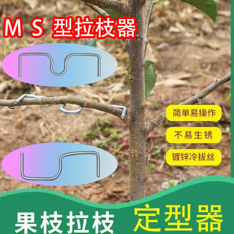 月季压枝神器S型别枝器果树定型盆景树枝卡扣苹果树枝条果园新枝