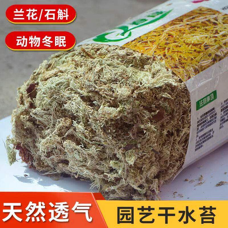 蝴蝶兰专用水苔捕蝇草兰花土乾薹藓乌龟冬眠换盆育苗石斛天然爬宠