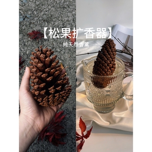 天然香水扩香器松果干花扩香木室内持久家用香薰精油散发摆件松塔