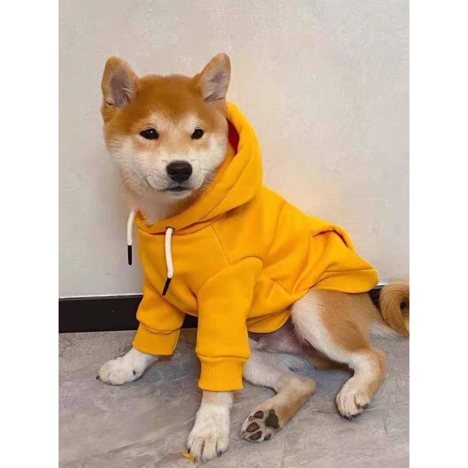 柴犬狗狗秋装加绒冬天衣服金毛柯基哈士奇边牧萨摩耶中型犬秋冬季