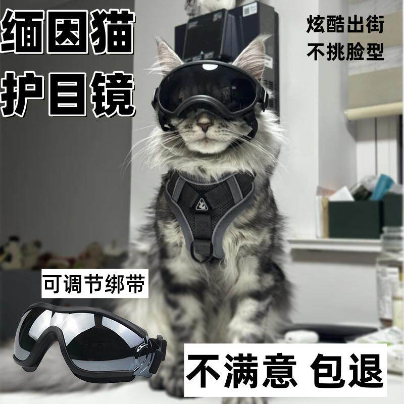 缅因猫护目镜眼镜饰品头饰宠物戴的猫咪专用小墨镜猫猫护目防风镜
