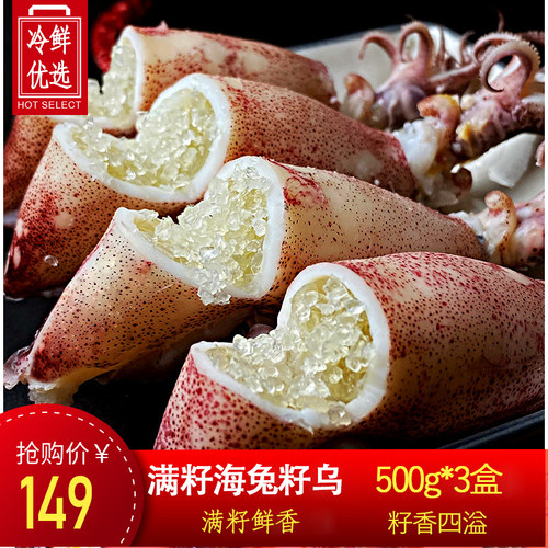 海捕笔管鱼活籽乌满籽墨鱼仔火锅