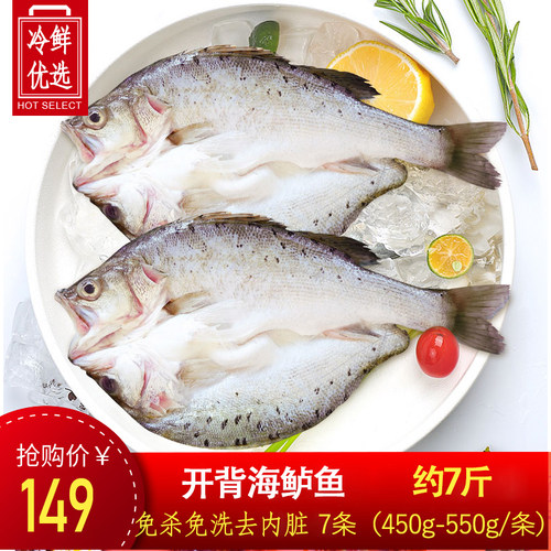 海捕大鲈鱼鲜活生鲜开背清蒸火锅