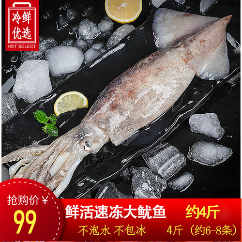 鱿鱼整只鱿鱼章鱼足火锅烧烤食材