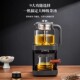 纯钛全自动上水一体萃茶机茶饮养生壶2026新款 煮茶器 蒸汽喷淋式