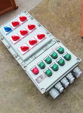 BXD防爆动力配电箱电气柜Exd BT4DIPA21粉尘隔爆型防爆开关电源箱