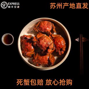 螃蟹苏州鲜活大闸蟹全母礼盒顺丰官方旗舰 湖鲜搭配公螃蟹