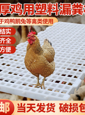 鸡用漏粪板鸽子家禽加厚塑料