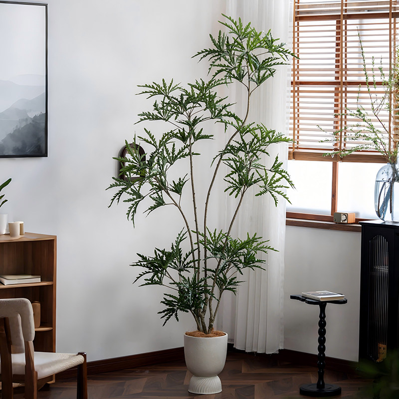 森空间孔雀木大型假树植物软装