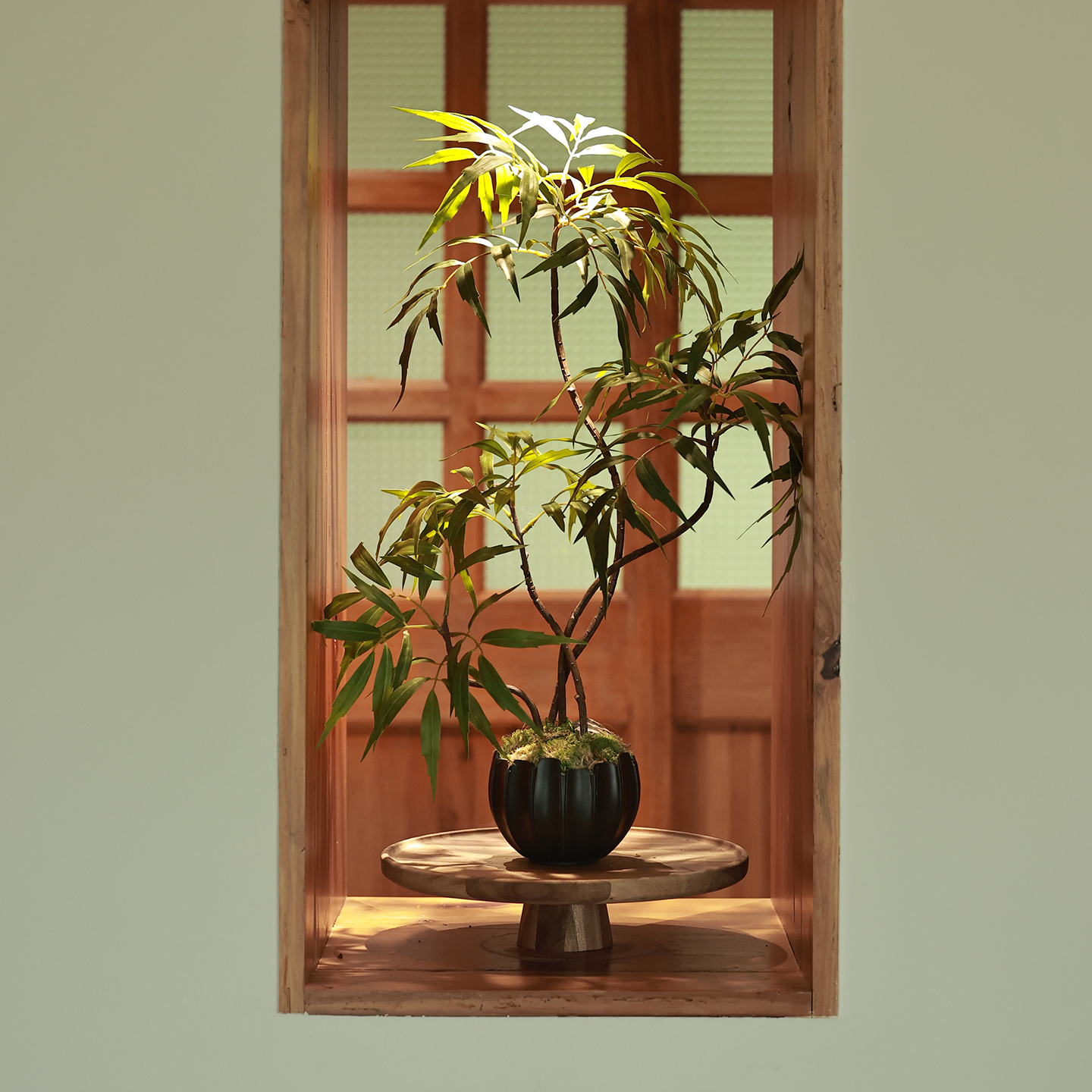 客厅玄关桌面摆件仿真绿植