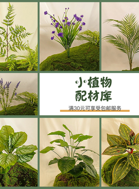森空间仿真绿植配材装饰造景软装搭配热带植物蕨草龟背竹葵微景观