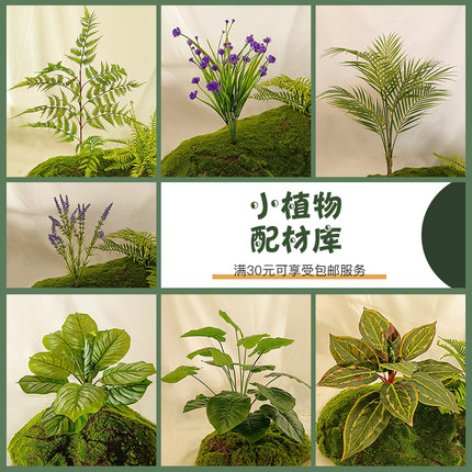 森空间仿真绿植配材装饰造景软装搭配热带植物蕨草龟背竹葵微景观