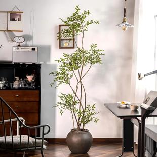 森空间仿真绿植南天竹子装饰室内客厅落地大型盆栽假树微景观植物