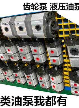 台湾SFHP齿轮泵 液压油泵1PLD54-22DE10R1325S 压力泵 马达双联