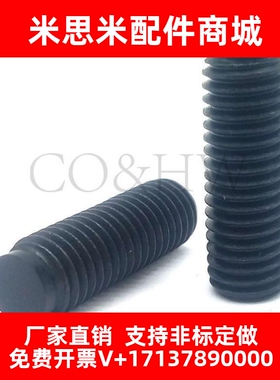 SBCT5/6--6-60聚氨脂缓止动螺栓 胶头防滑止动紧定t螺栓 TDA01