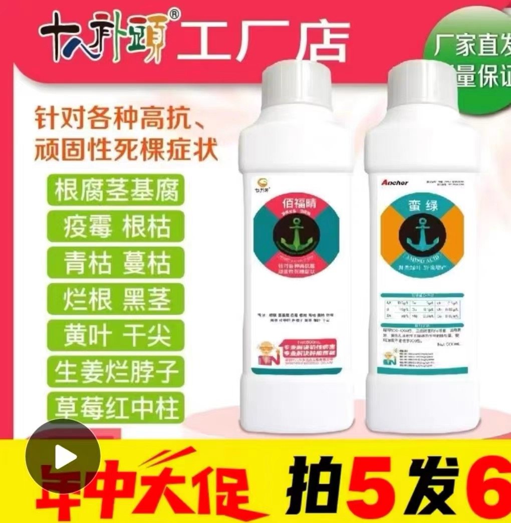佰福晴 专门治疗预防根腐死棵黄叶腐烂 大蒜小麦大田作物土传病害