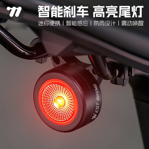 西骑者自行车夜骑灯坐垫尾灯公路