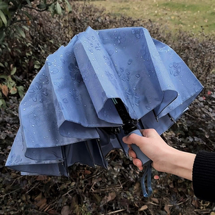 遇水开花雨伞女生高颜值小巧便携加大加厚防风加固晴雨两用自动伞