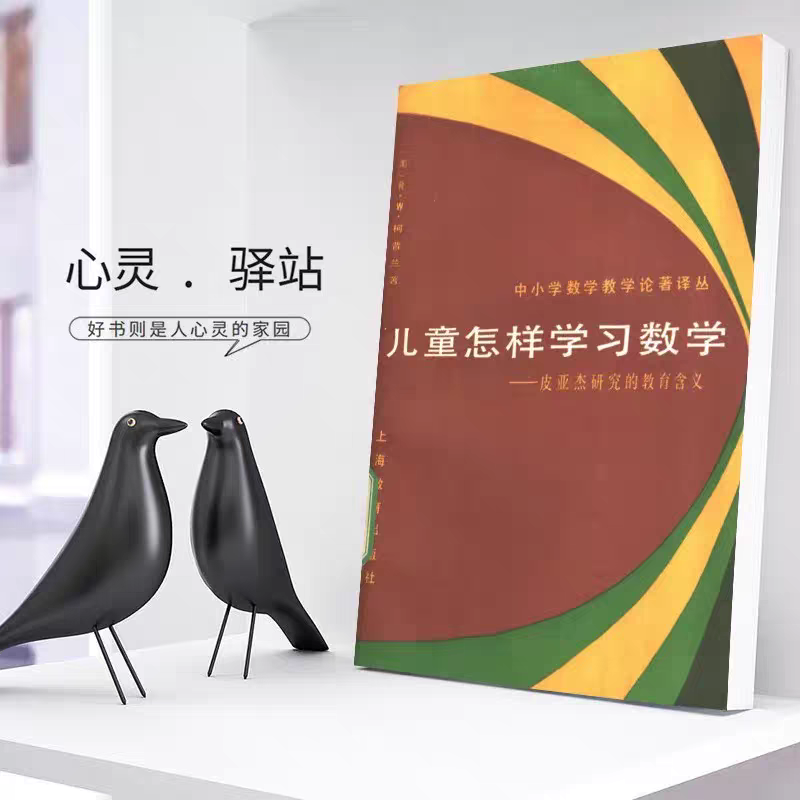 儿童怎样学习数学皮亚杰