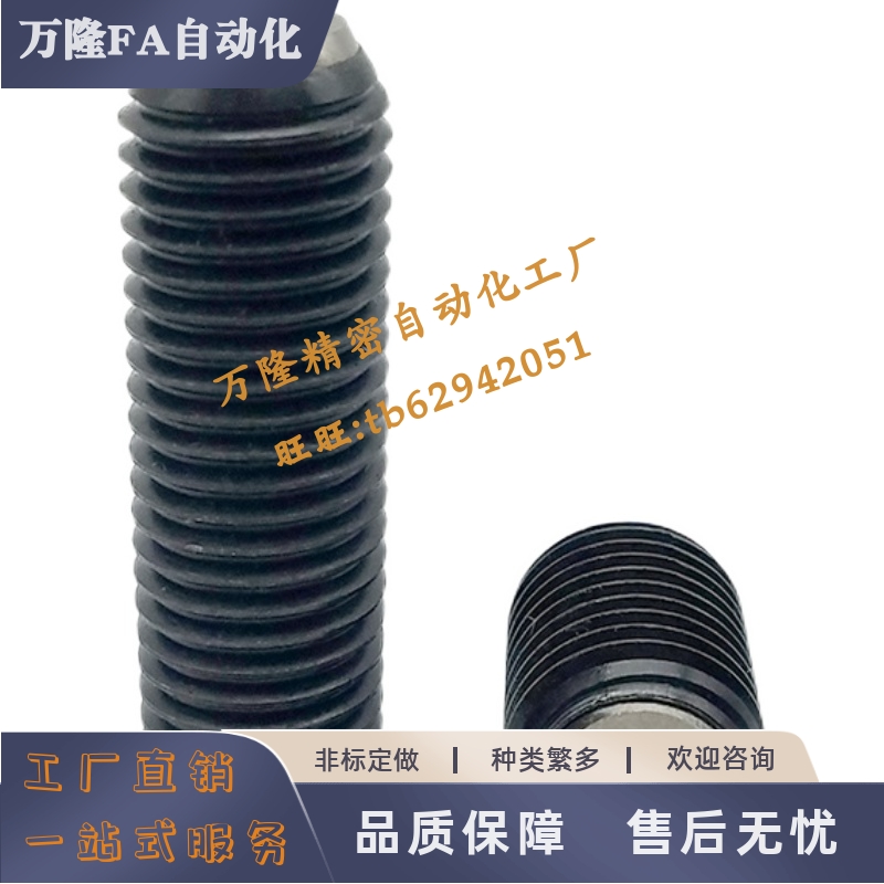 锁紧螺丝头角球头柱塞支撑螺栓