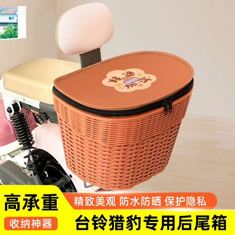 台铃猎豹电瓶车电动车专用后备箱后尾储物箱通用大容量改装饰配件