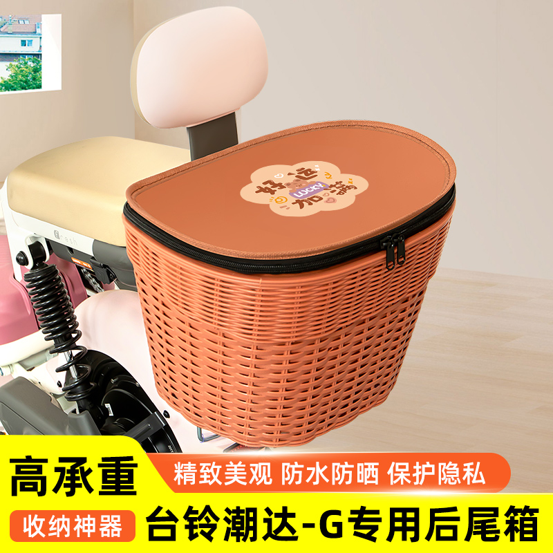 台铃超能S潮达G电瓶电动车专用后备箱后尾箱储物箱通用大容量装饰