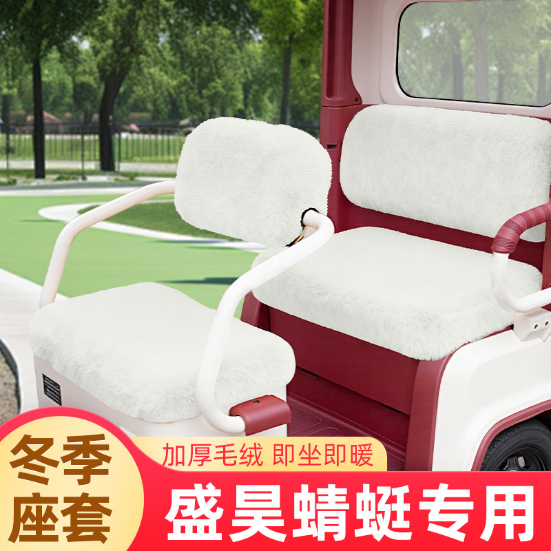 盛昊蜻蜓电动三轮车座套坐垫套冬季脚垫改造装饰配饰配件收纳储物