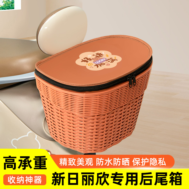 新日新国标丽欣电瓶电动车专用后备箱后尾箱储物箱通用大容量装饰